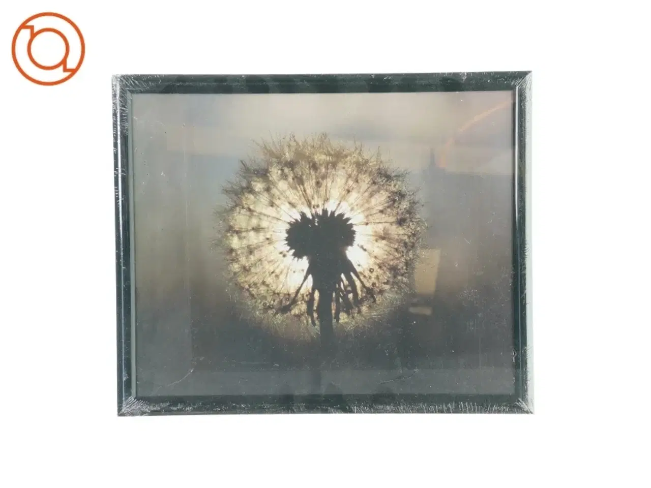 Billede 1 - Billedramme med billede fra(str. LBH:33,5x27,5x2cm)