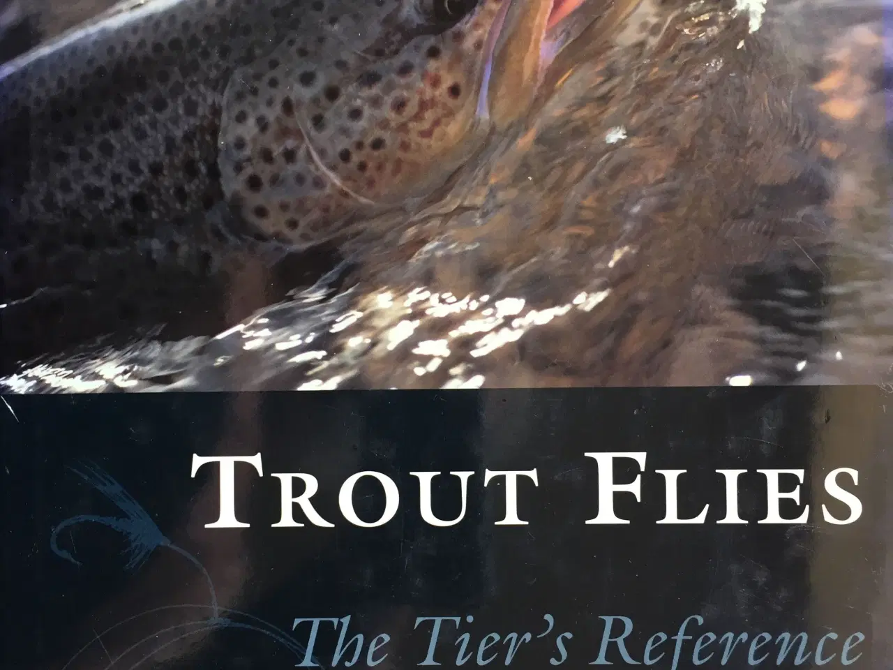 Billede 1 - TROUT FLIES - The Tier's Reference
