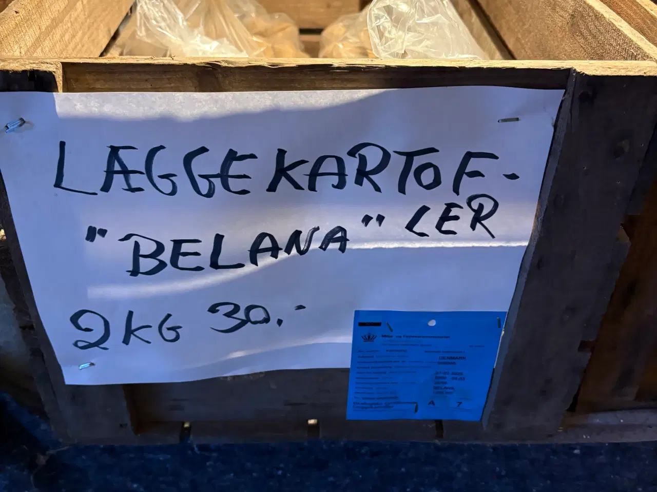 Billede 4 - Læggekartofler