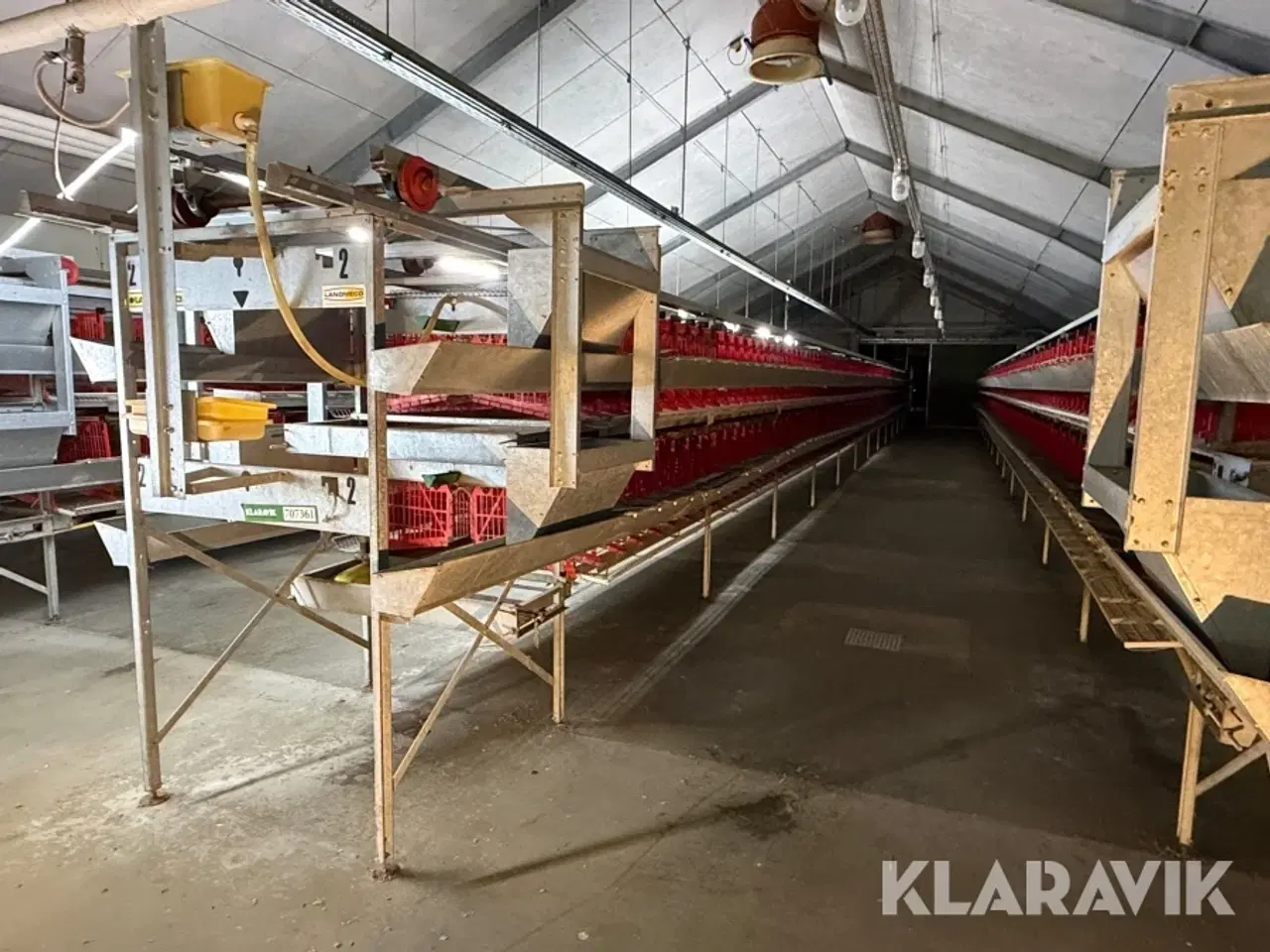 Billede 7 - Produktionslinje Landmeco æglægger system