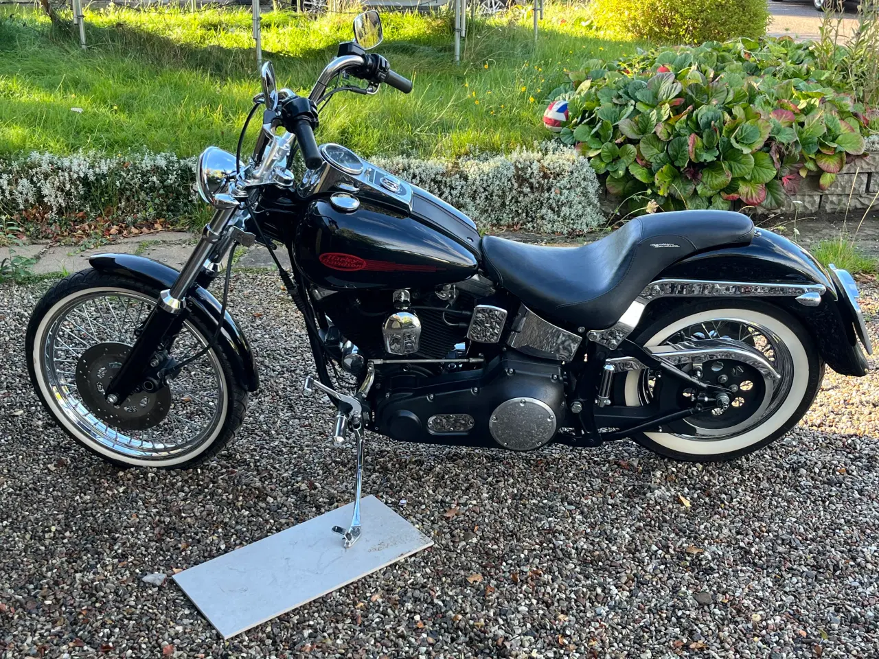 Billede 4 - Harley Davidson FXST SOFTTAIL