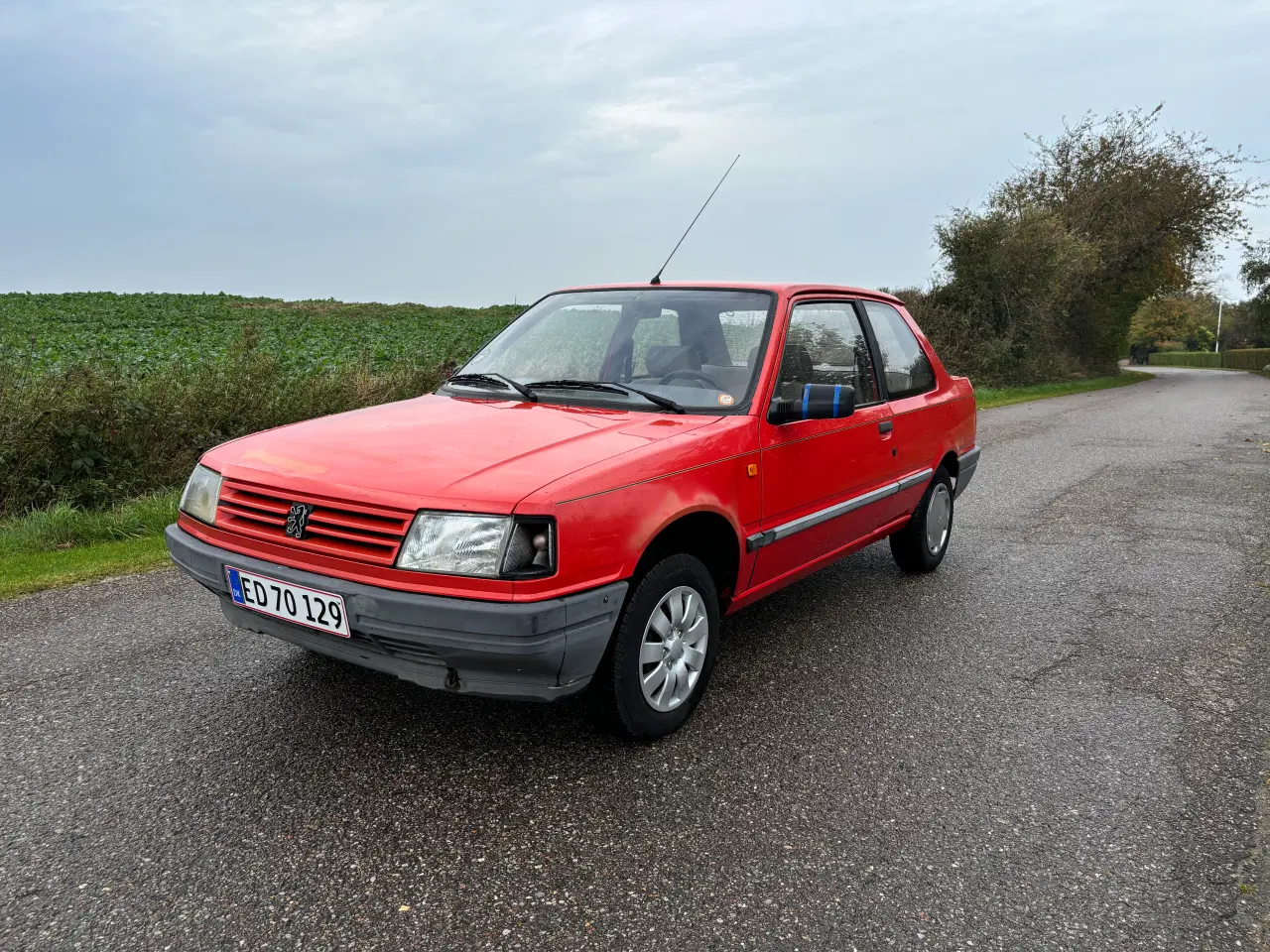 Billede 6 - Peugeot 309 veteran