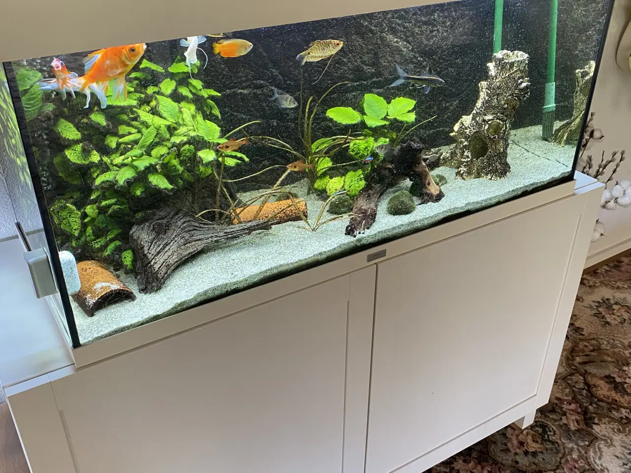 Billede 2 - Juwel rio akvarie 180L