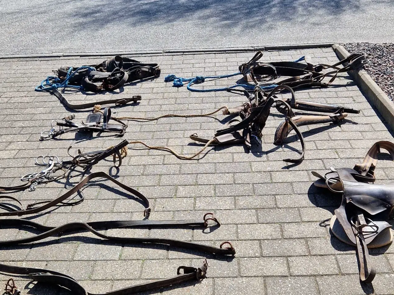 Billede 6 - Seletøj til heste 