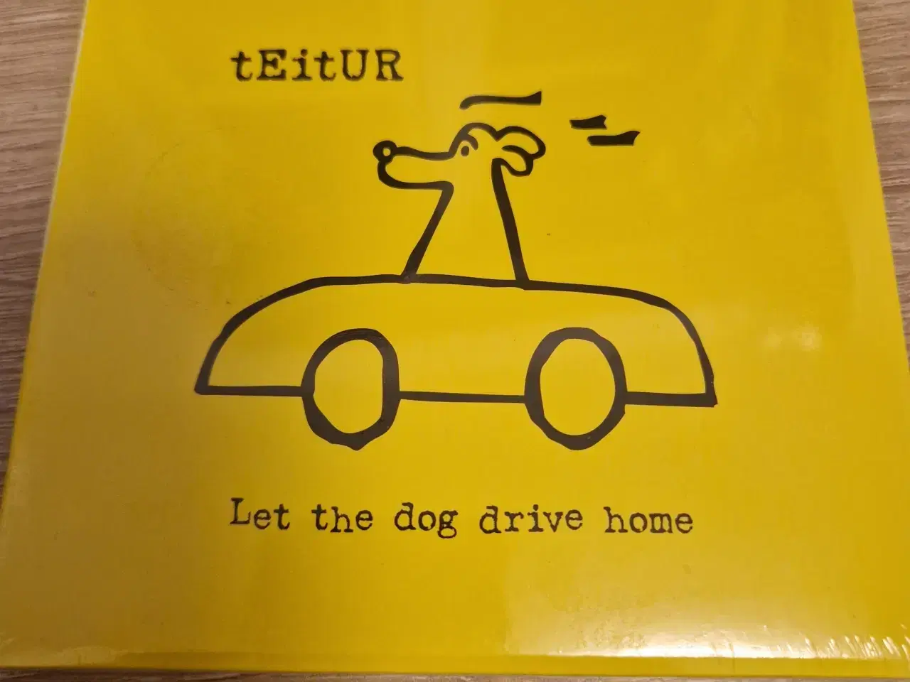 Billede 1 - Teitur - Let The Dog Drive Home