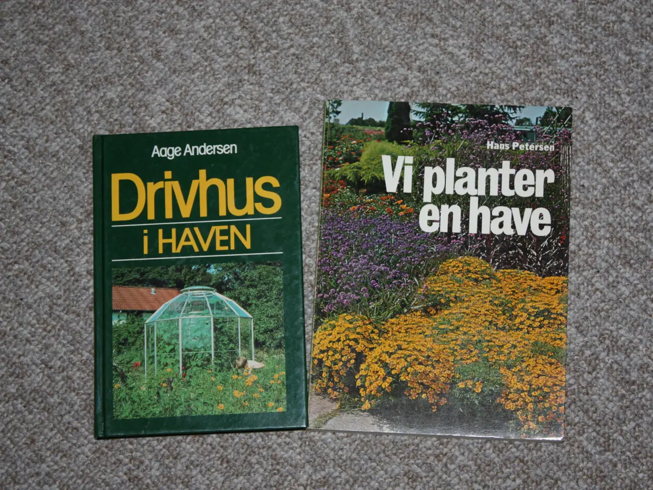 Billede 1 - Vi planter en have af Hans Petersen