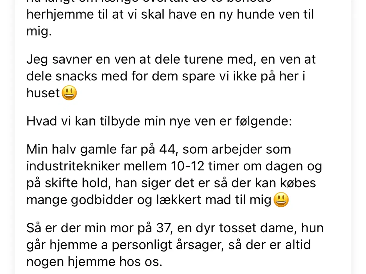 Billede 2 - Hund søges.