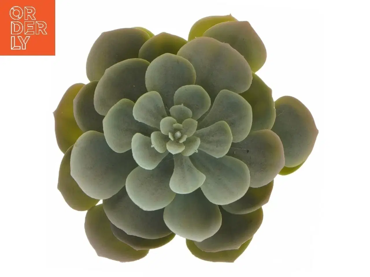 Billede 9 - Dekorative kunstige planter i sorte potter fra IKEA (str. 12 cm og 19 cm)