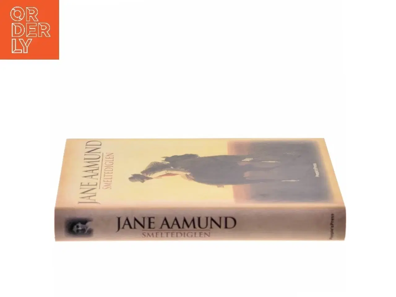 Billede 2 - Smeltediglen : andet bind i slægtskrøniken om de dansk-argentinske indvandrere : roman af Jane Aamund (Bog)