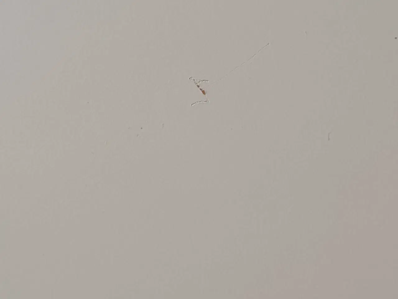 Billede 3 - Eket bogkasser