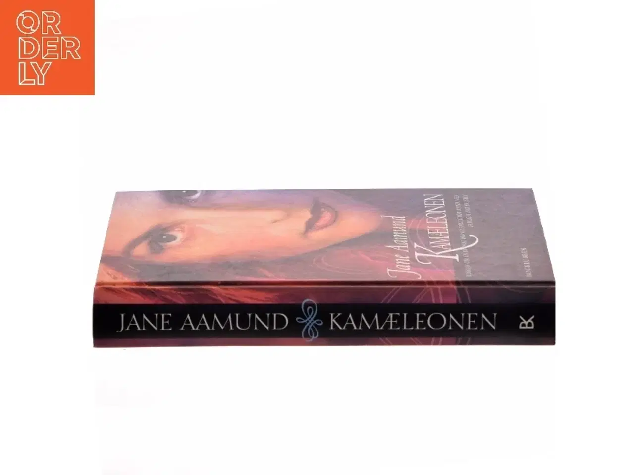 Billede 2 - Kamæleonen af Jane Aamund (Bog)