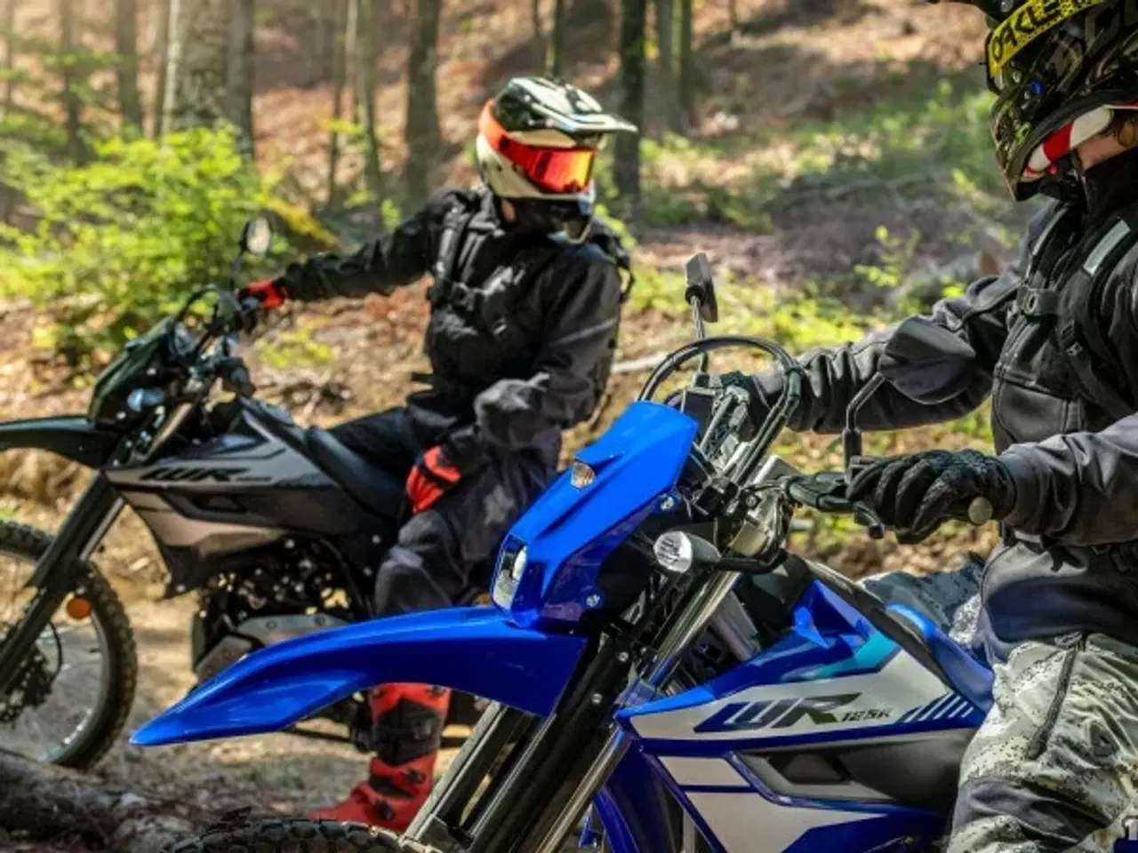 Billede 14 - Yamaha WR 125 R