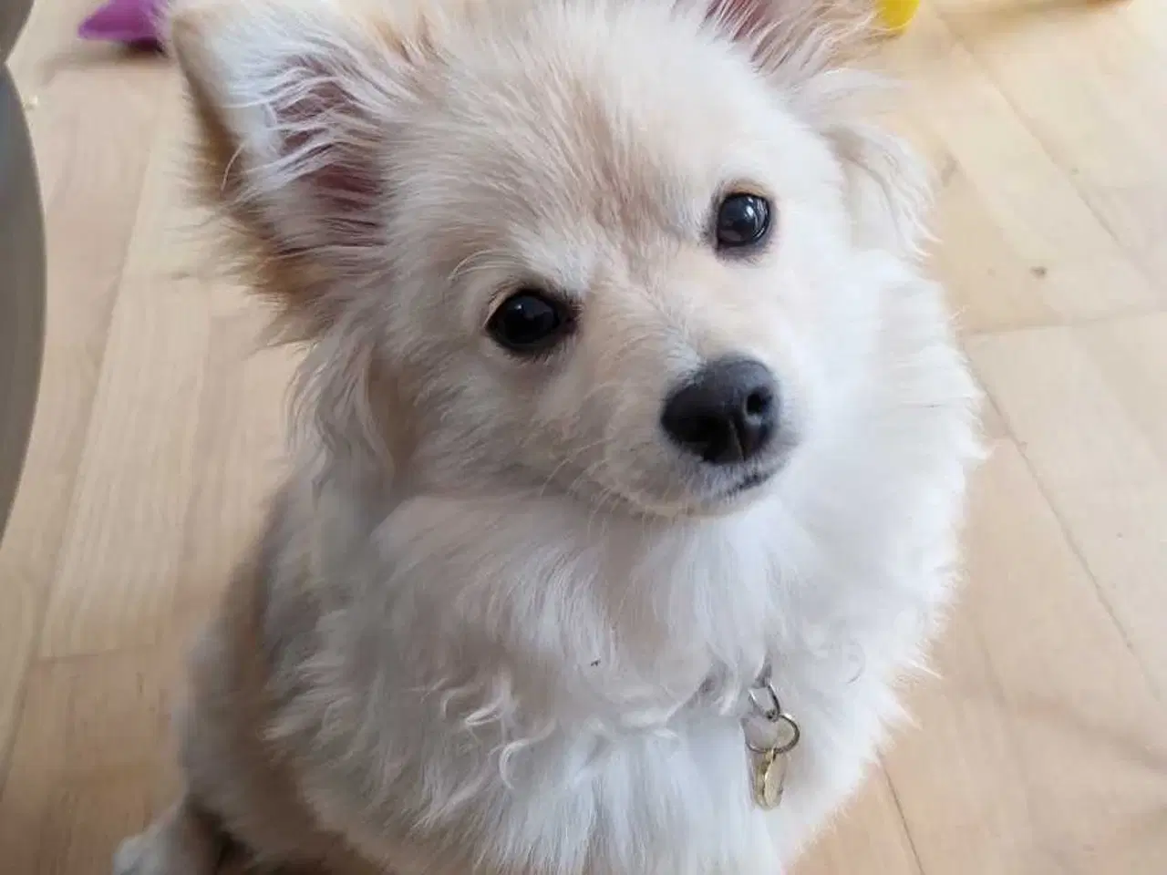 Billede 1 - Smuk krudtugle