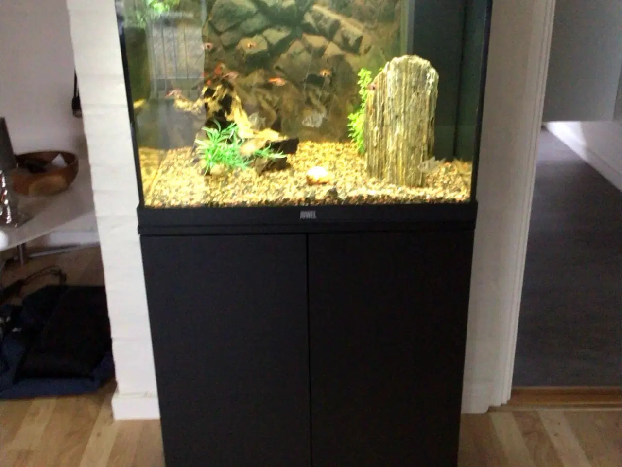 Billede 3 - Flot Juwel akvarie med skab