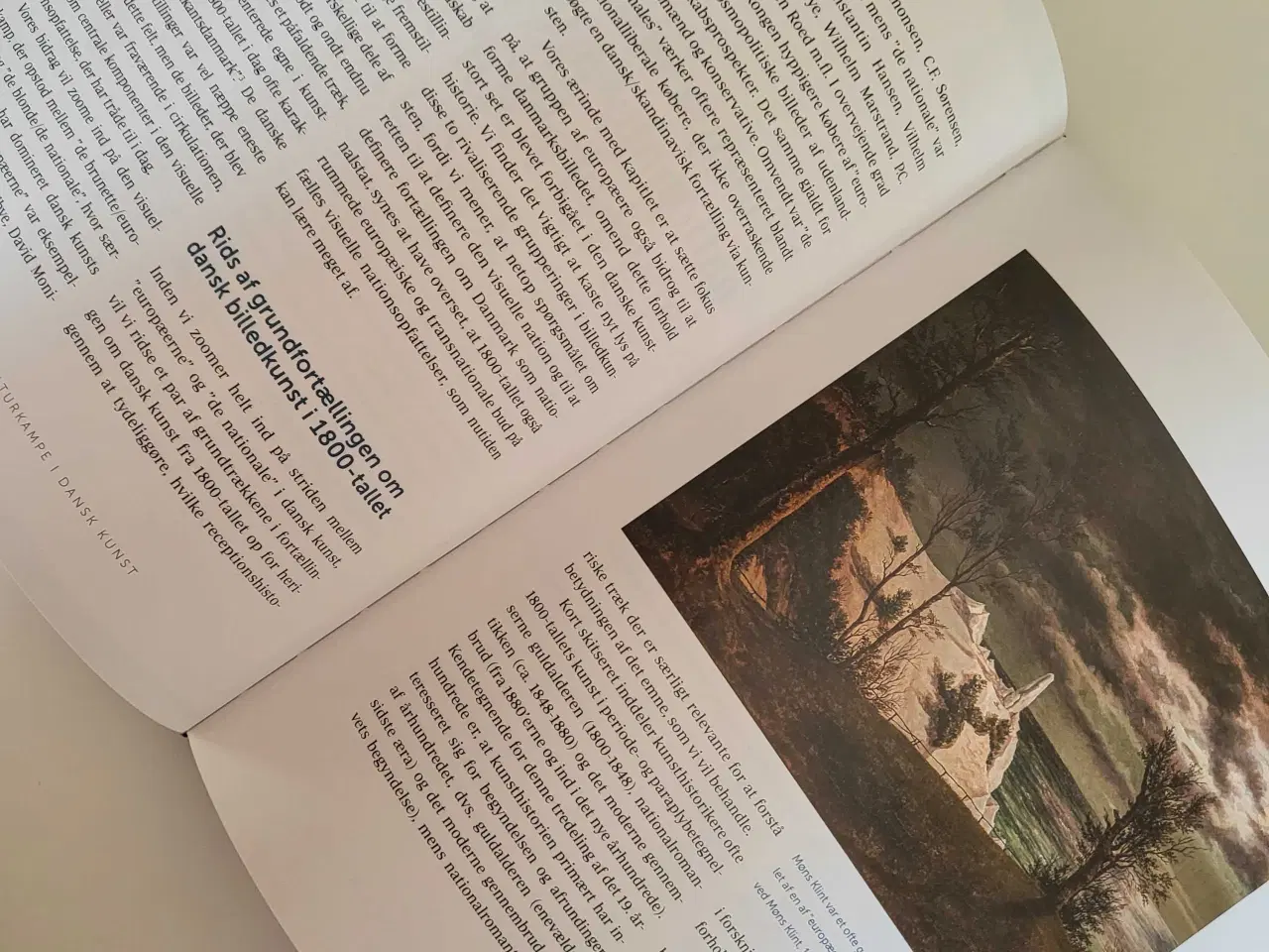 Billede 7 - Konfliktzonen Danmark