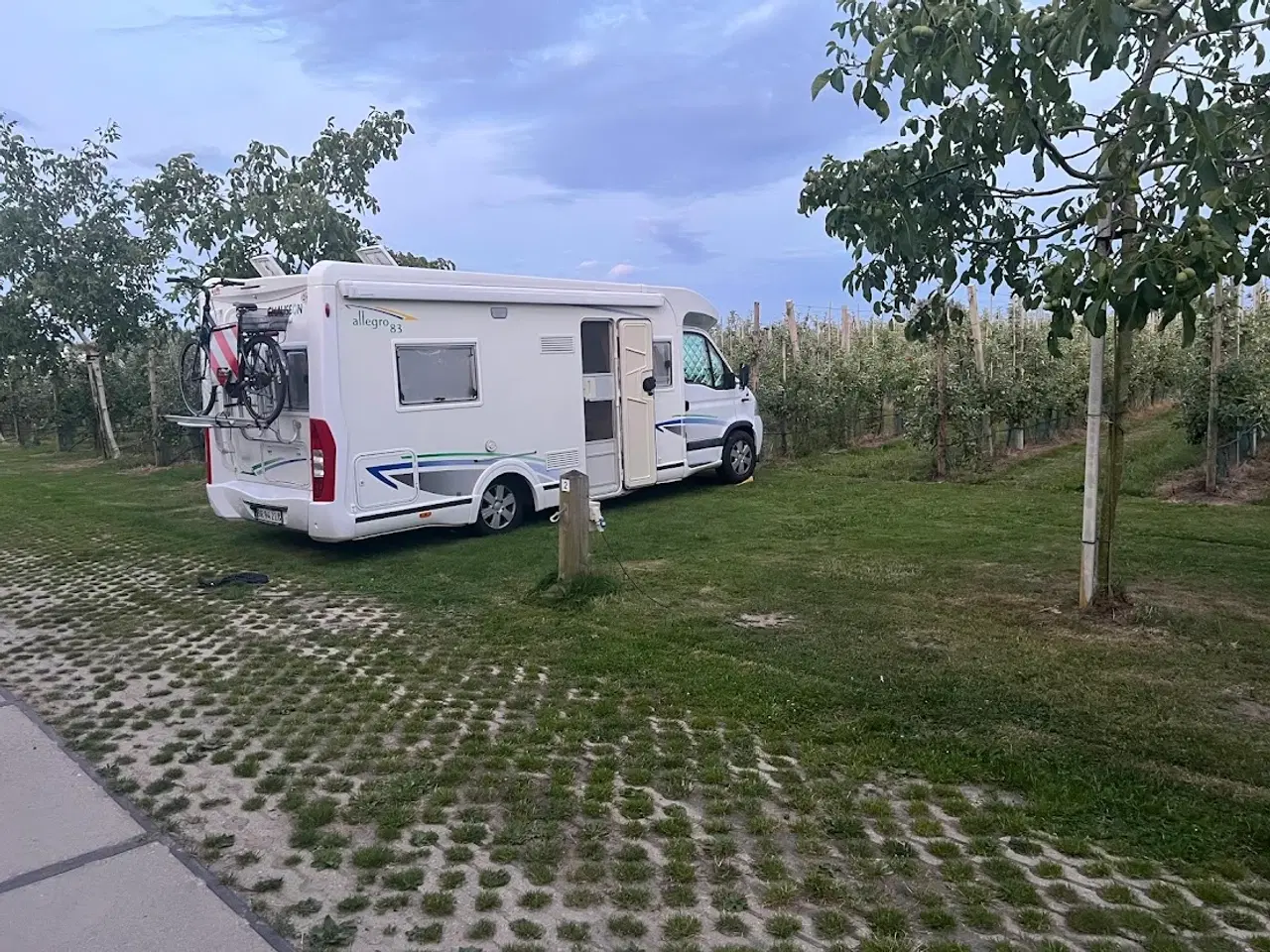 Billede 2 - Renualt Master Chausson Allegro 83 (Top modellen)