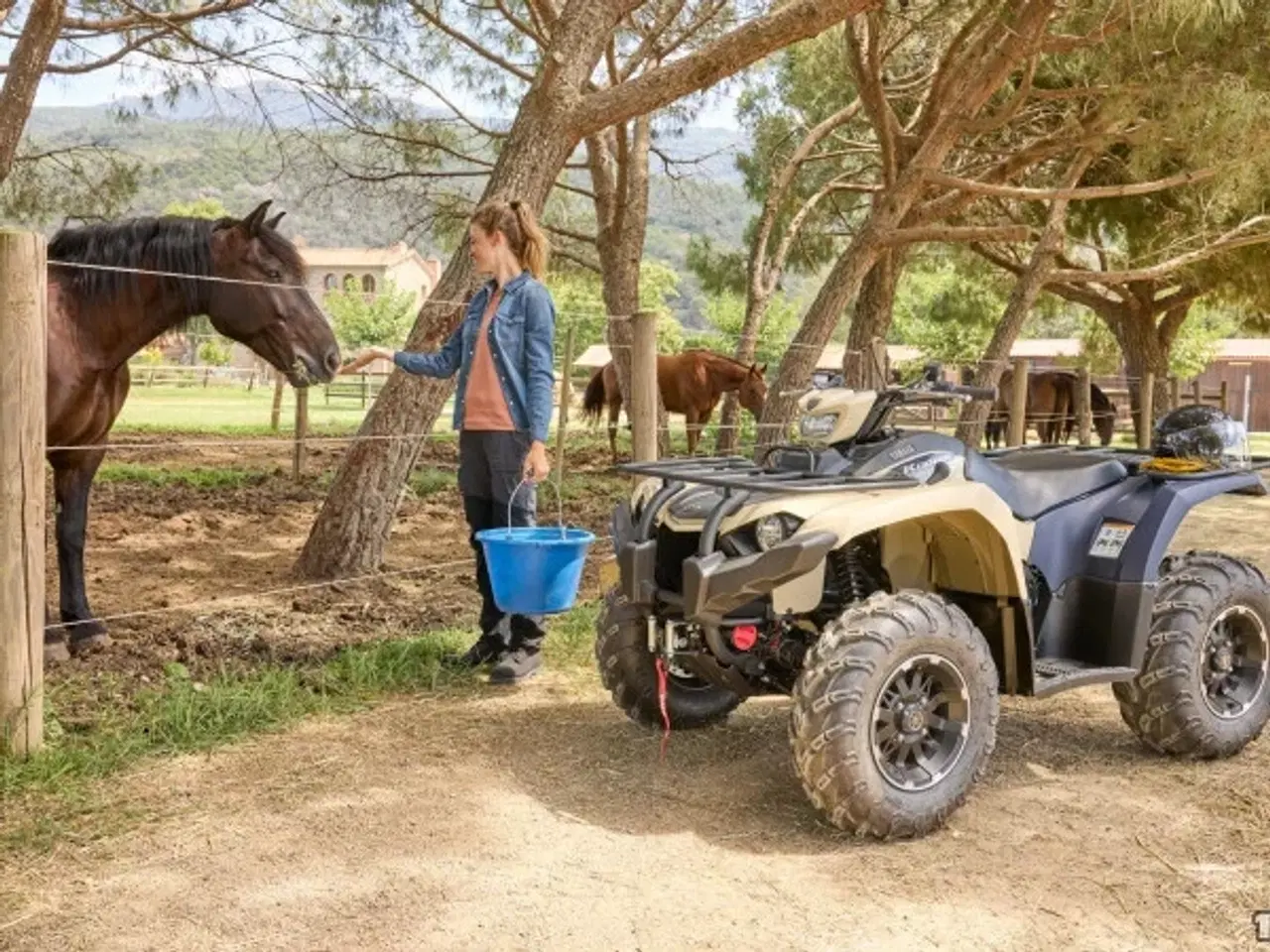 Billede 5 - Yamaha Kodiak 450 EPS SE Traktor