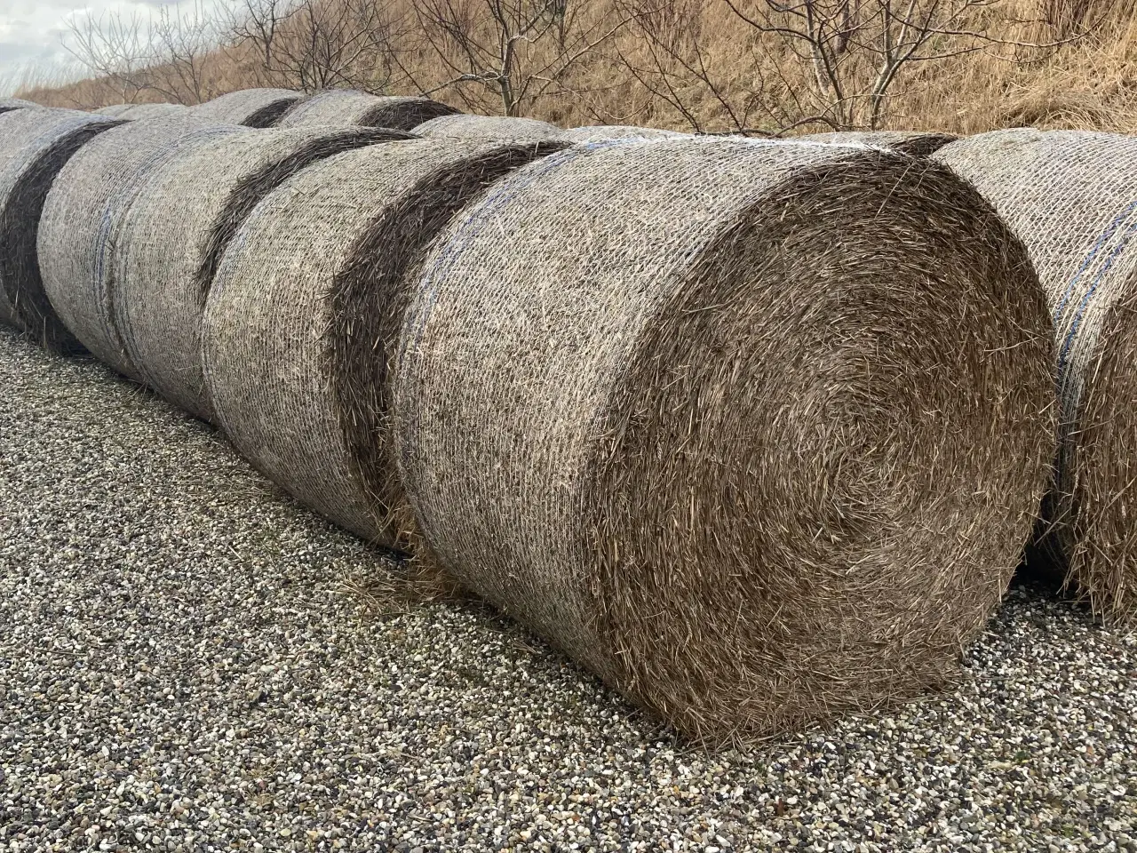 Billede 1 - Halm