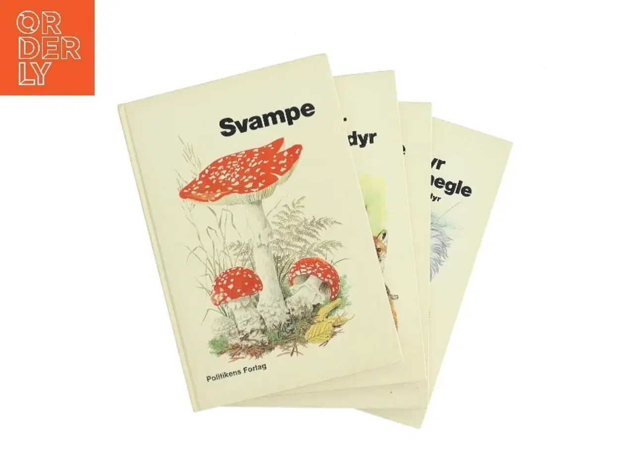 Billede 1 - Svampe af &lt;Uangivet forfattere< (Bog)