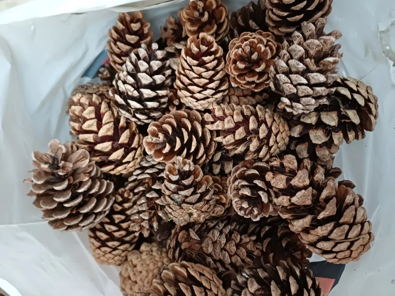 Billede 7 - Dekorationsmateriale til krukker, kranse mm.