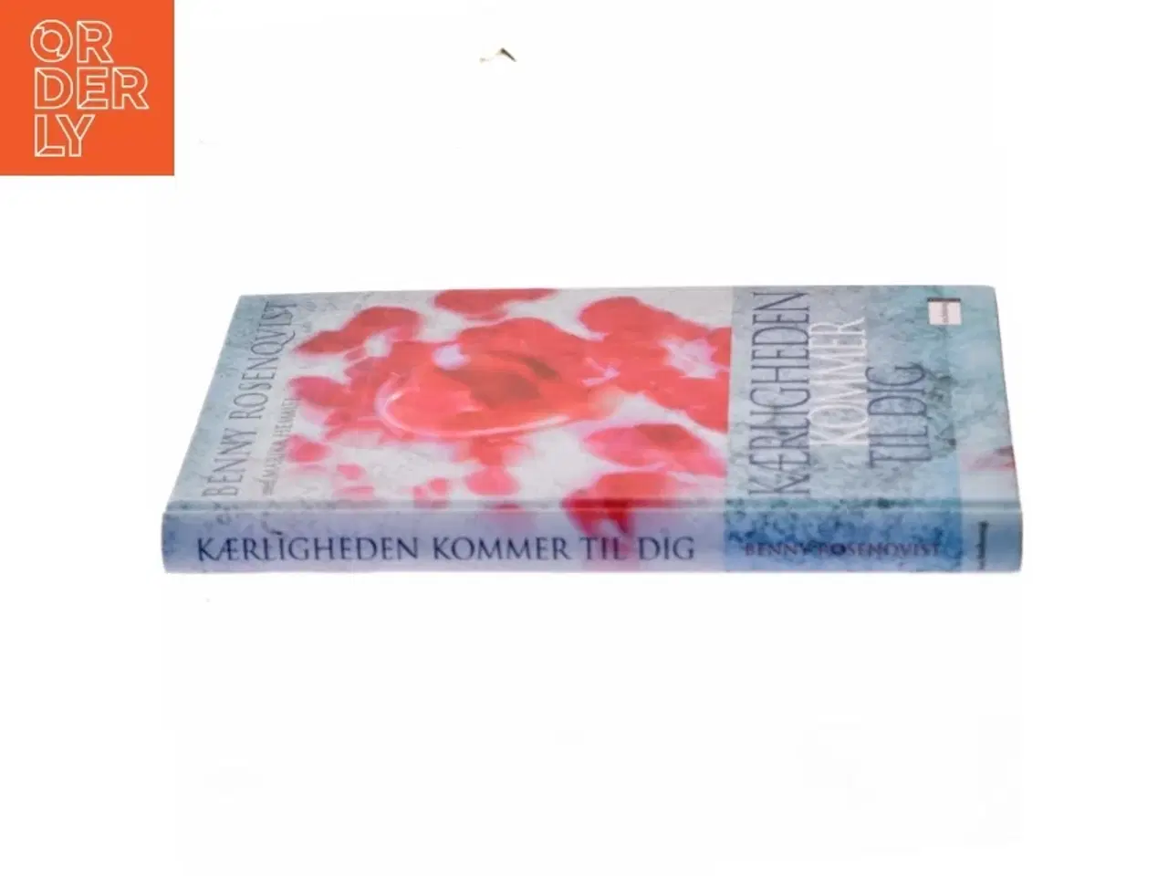 Billede 2 - Kærligheden kommer til dig? (Bog)