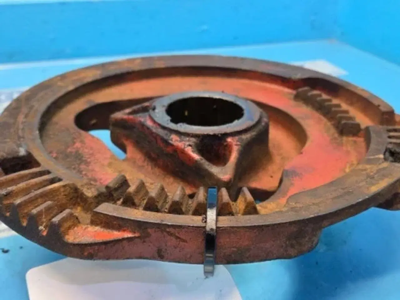 Billede 4 - Hesston 4700 Kamskive 700100868