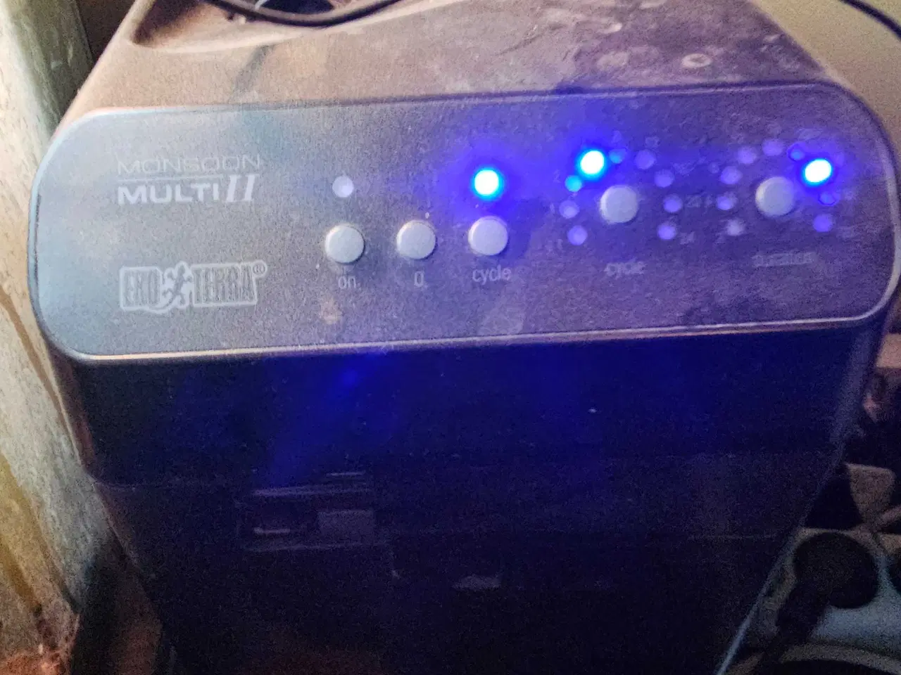 Billede 3 - Exo terra med 2 phelsuma klemmeri