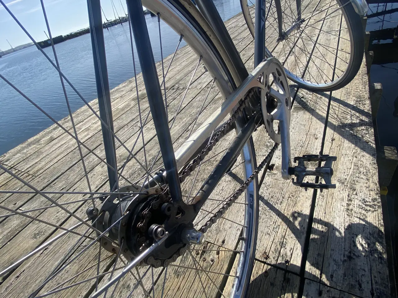 Billede 5 - Centuriun Helium 56 cm