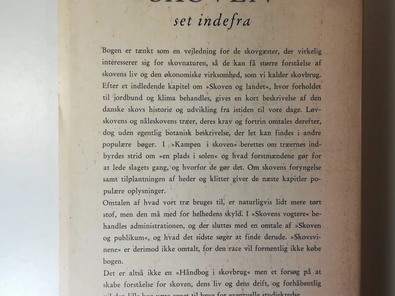 Billede 3 - Skoven set indefra, af Axel S. Sabroe