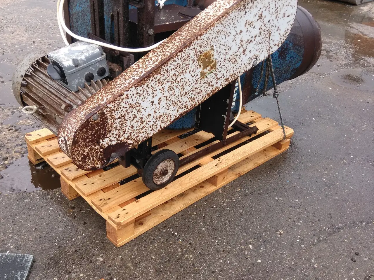 Billede 2 - Tørre blæser, Kongskilde