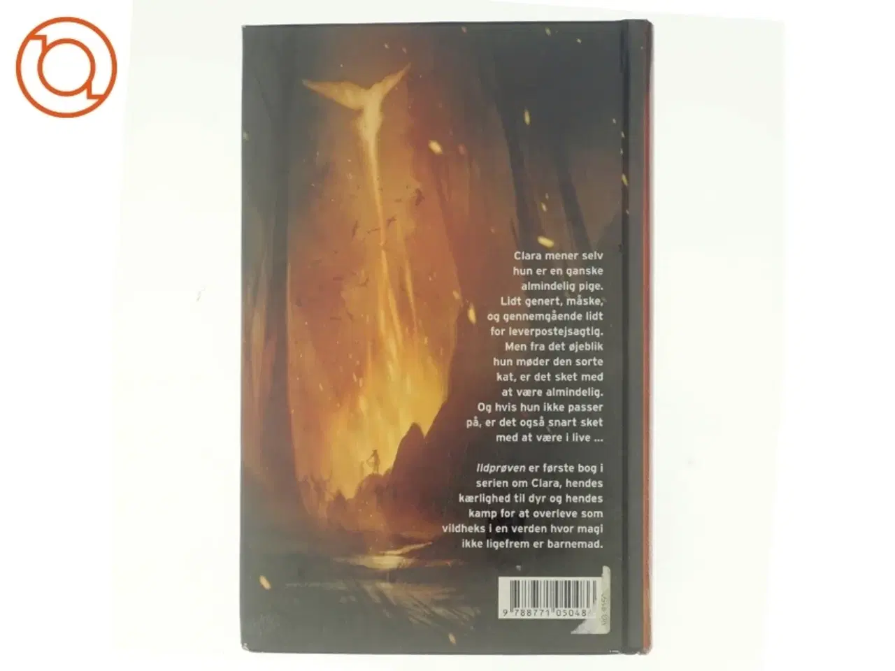 Billede 3 - Vildheks. Bind 1, Ildprøven af Lene Kaaberbøl (Bog)