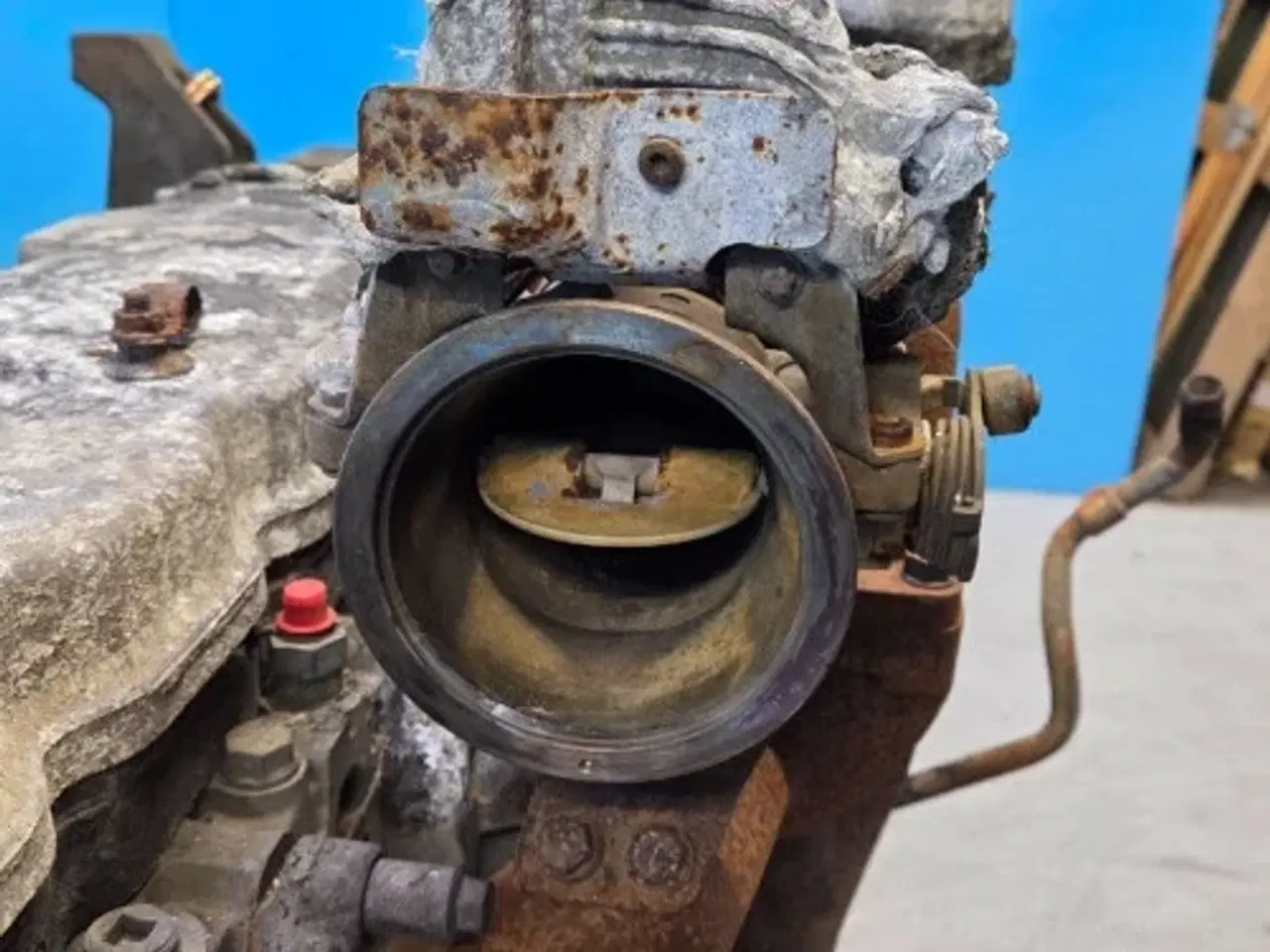 Billede 15 - Iveco F4DGE614H Motor 51693360