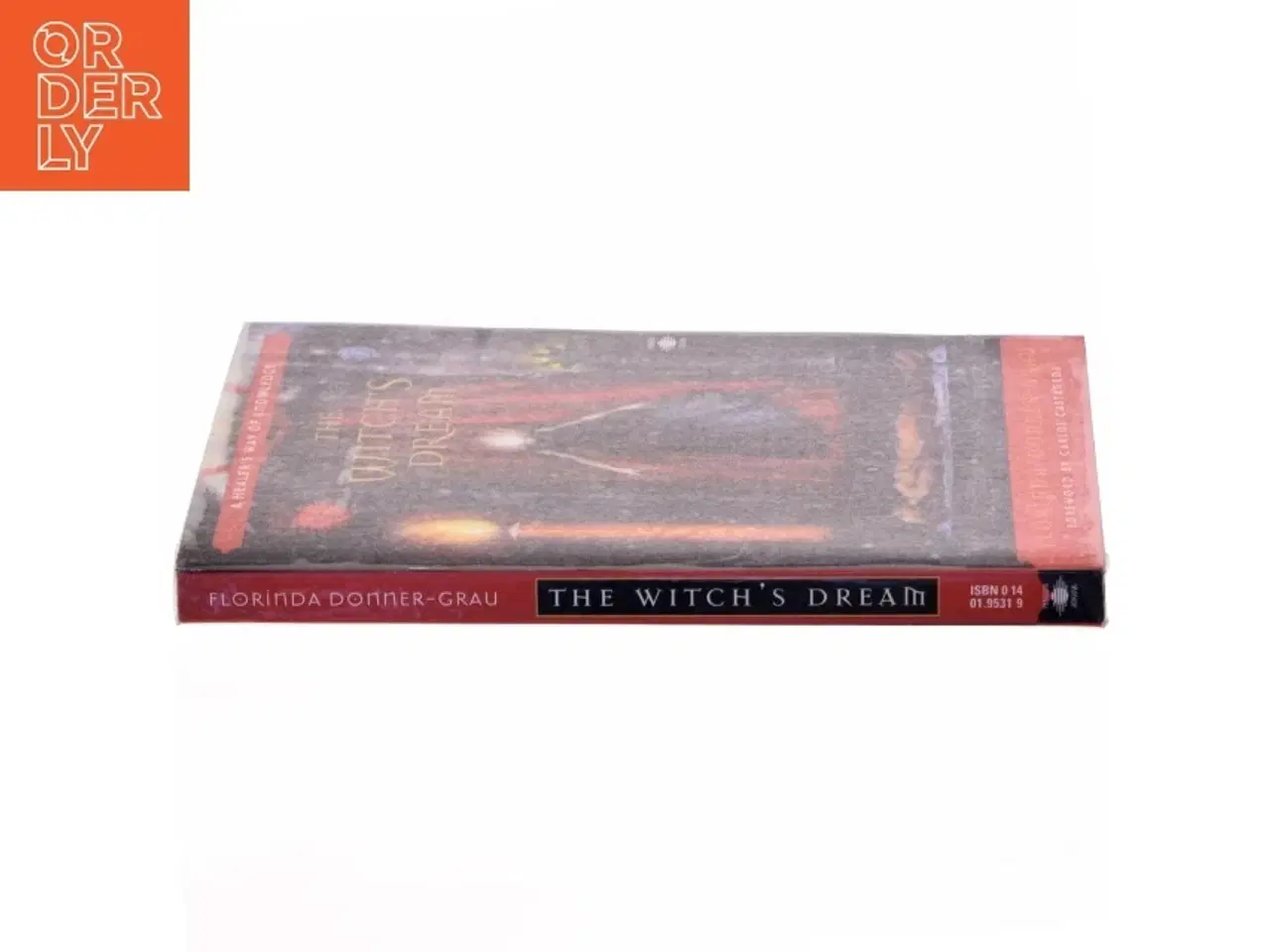 Billede 2 - The witch&#39;s dream : A healer&#39;s way of knowledge af Florinda Donner-Grau (Bog)
