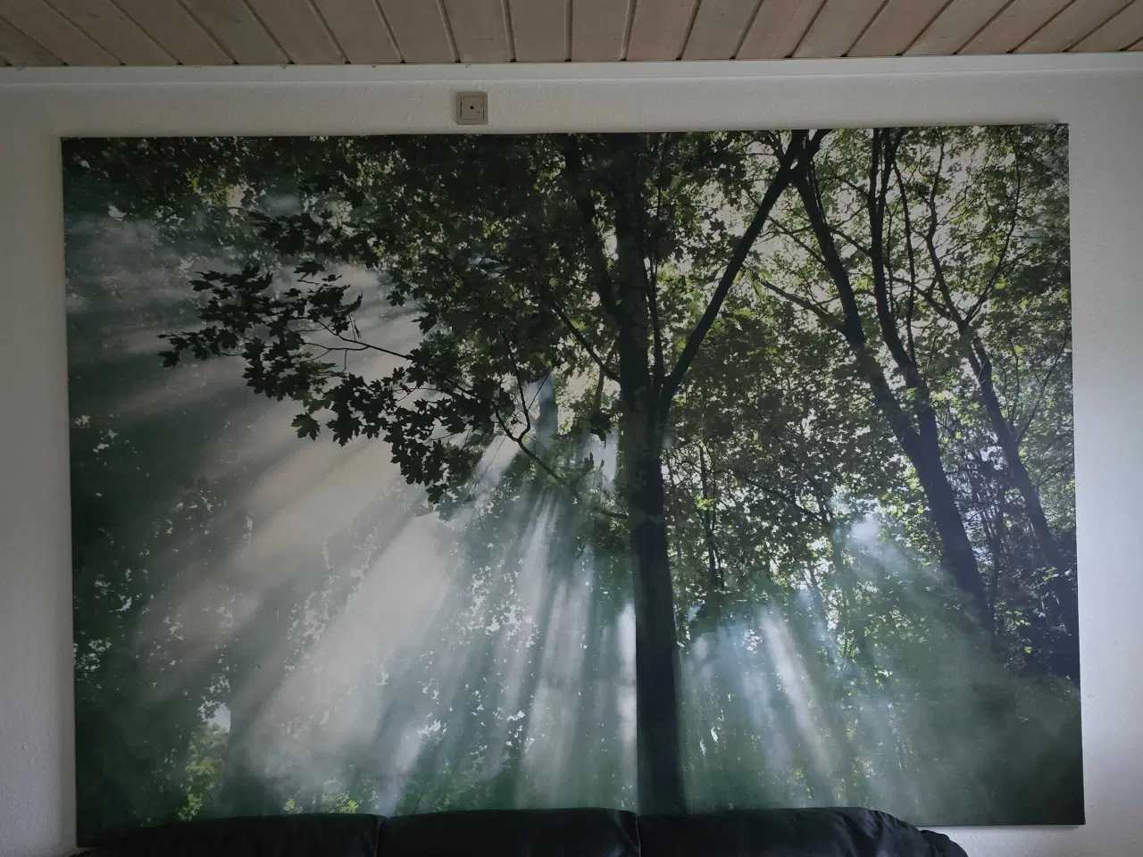 Billede 1 - Rigtig flot skov Billed på Lærred 