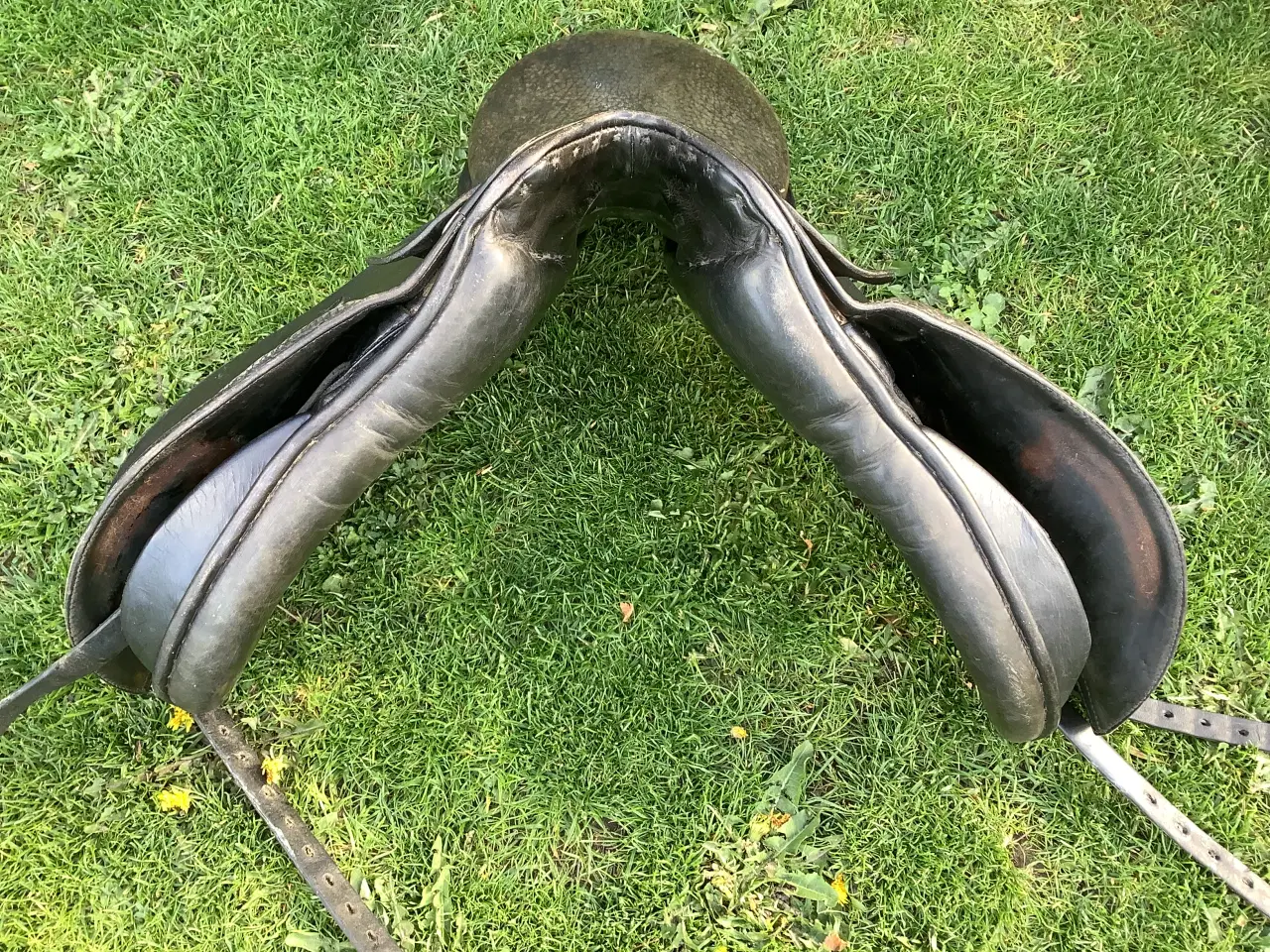 Billede 3 - Passier dr. Sadel 17”