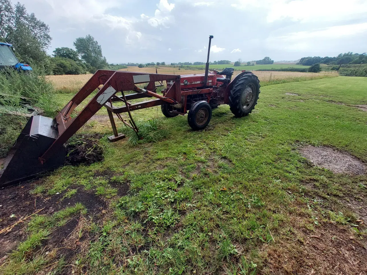 Billede 8 - MF 135 Diesel