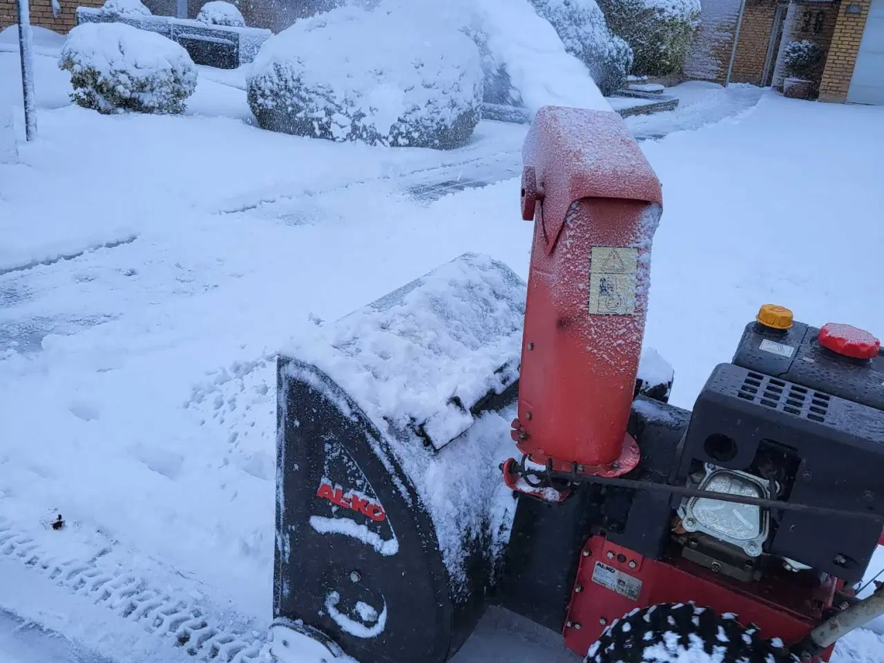 Billede 1 - Snepuster 