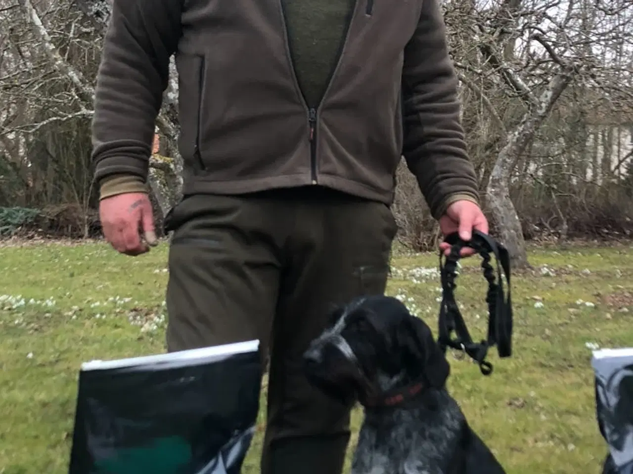 Billede 6 - Rulaber ( Labrador-Ruhåret hønsehund )