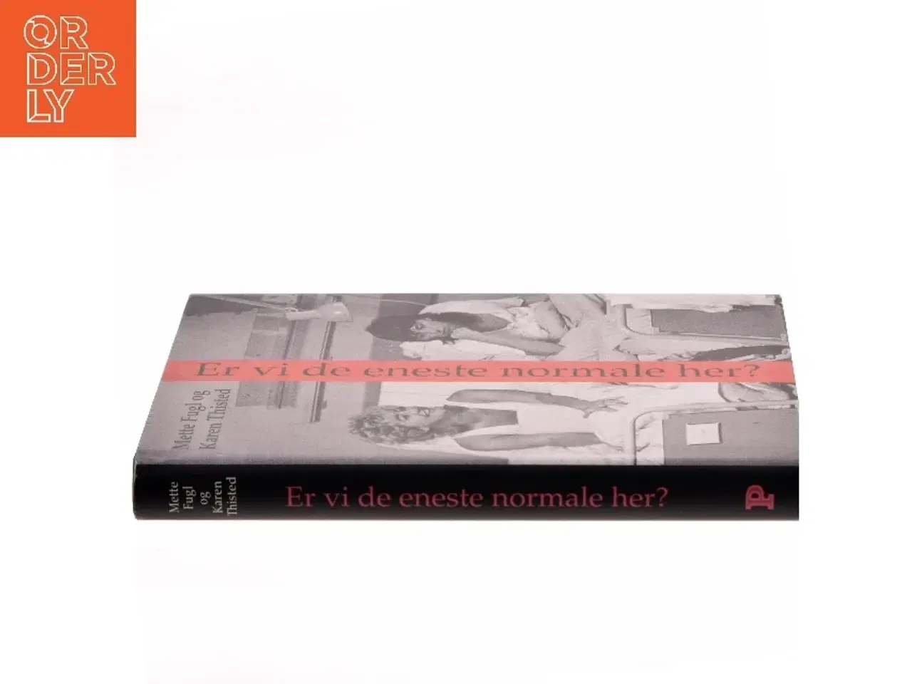 Billede 2 - Er vi de eneste normale her? : noter, anekdoter og samtaler om visse erindringer (Bog)