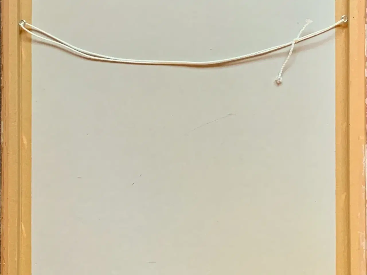 Billede 3 - Viktor IV: An angelfish sneezing