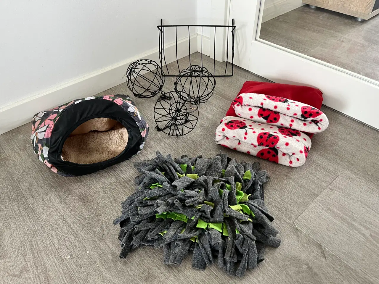 Billede 12 - To hun maresvin sælges med bur og alt tilbehør 