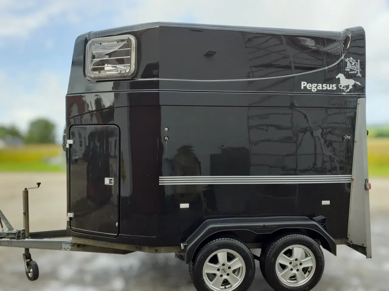 Billede 5 - Humbaur Pegasus