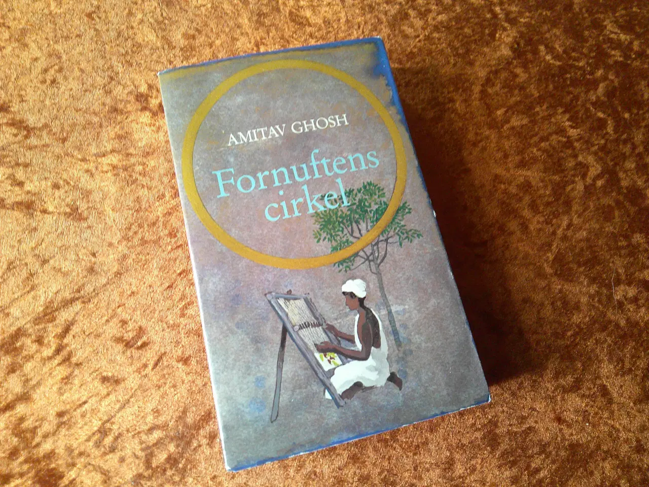 Billede 1 - Fornuftens cirkel, Amitav Ghosh,