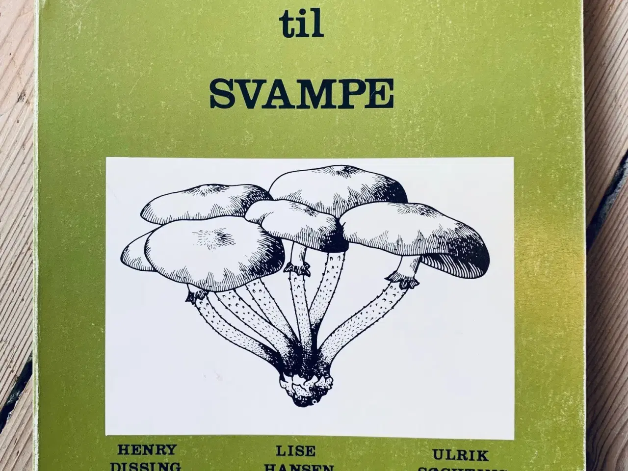 Billede 1 - Introduktion til svampe (2. oplag 1988)