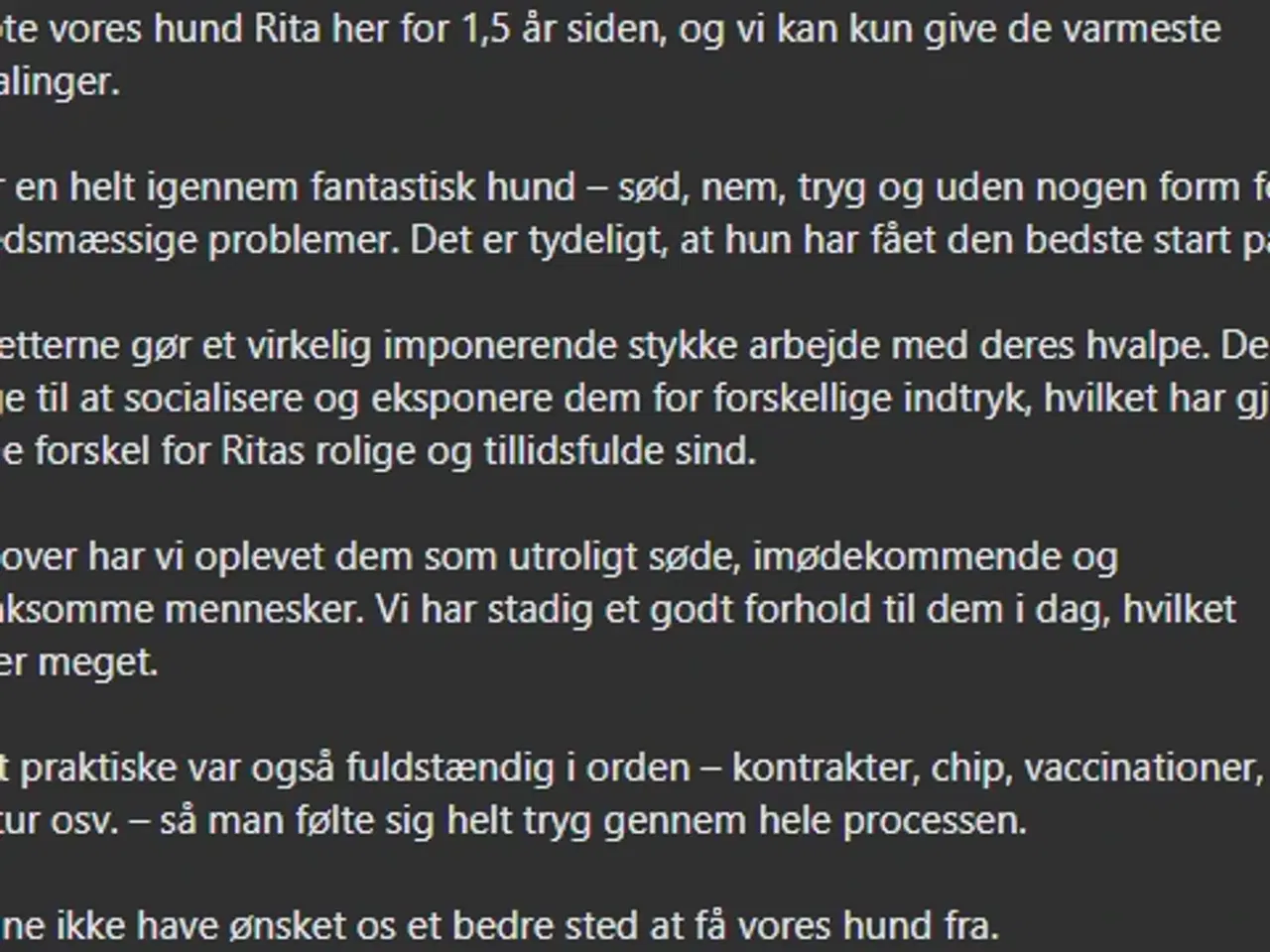 Billede 5 - Golden Retriever/Labrador hvalpe