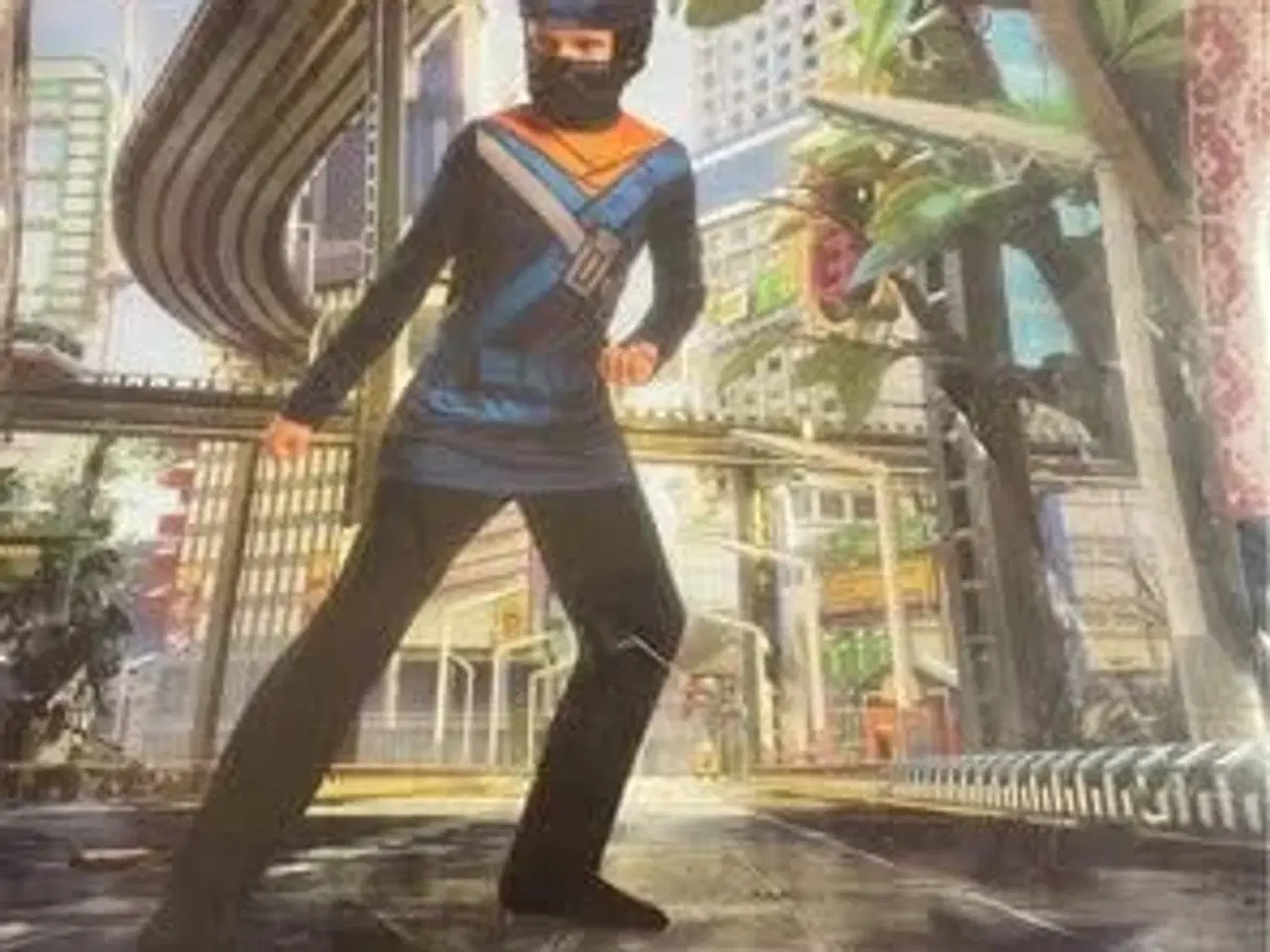 Billede 3 - Udklædningstøj 