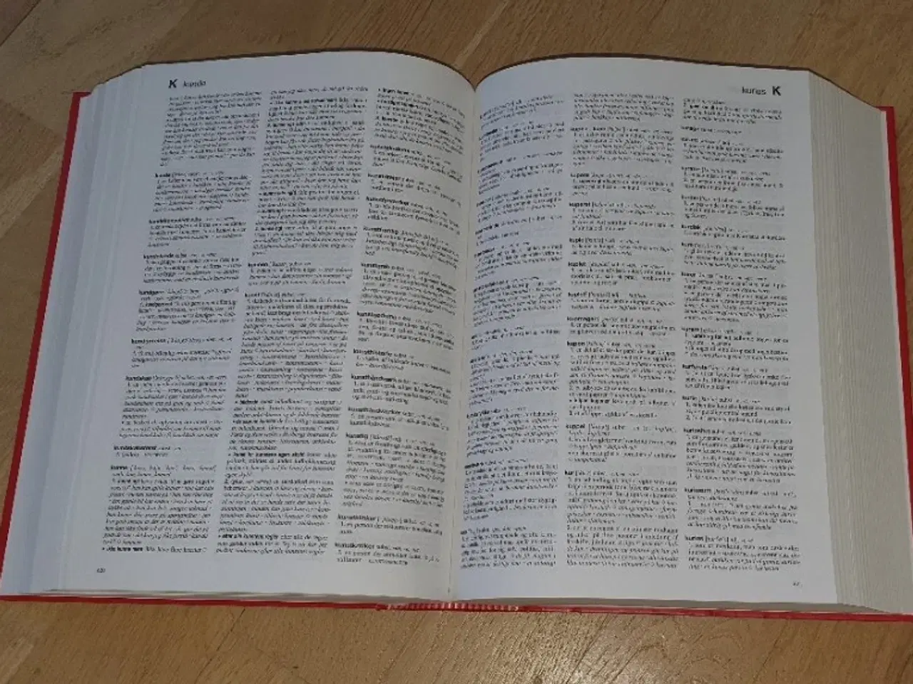 Billede 3 - Nydansk Ordbog	