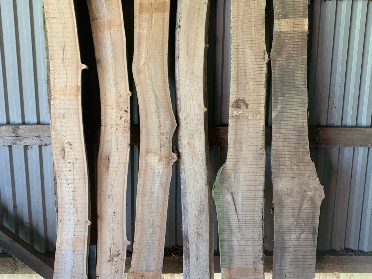Billede 3 - Planker i elmetræ