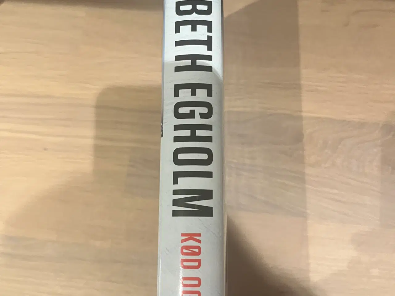 Billede 3 - Elsebeth Egholm - Kød og blod