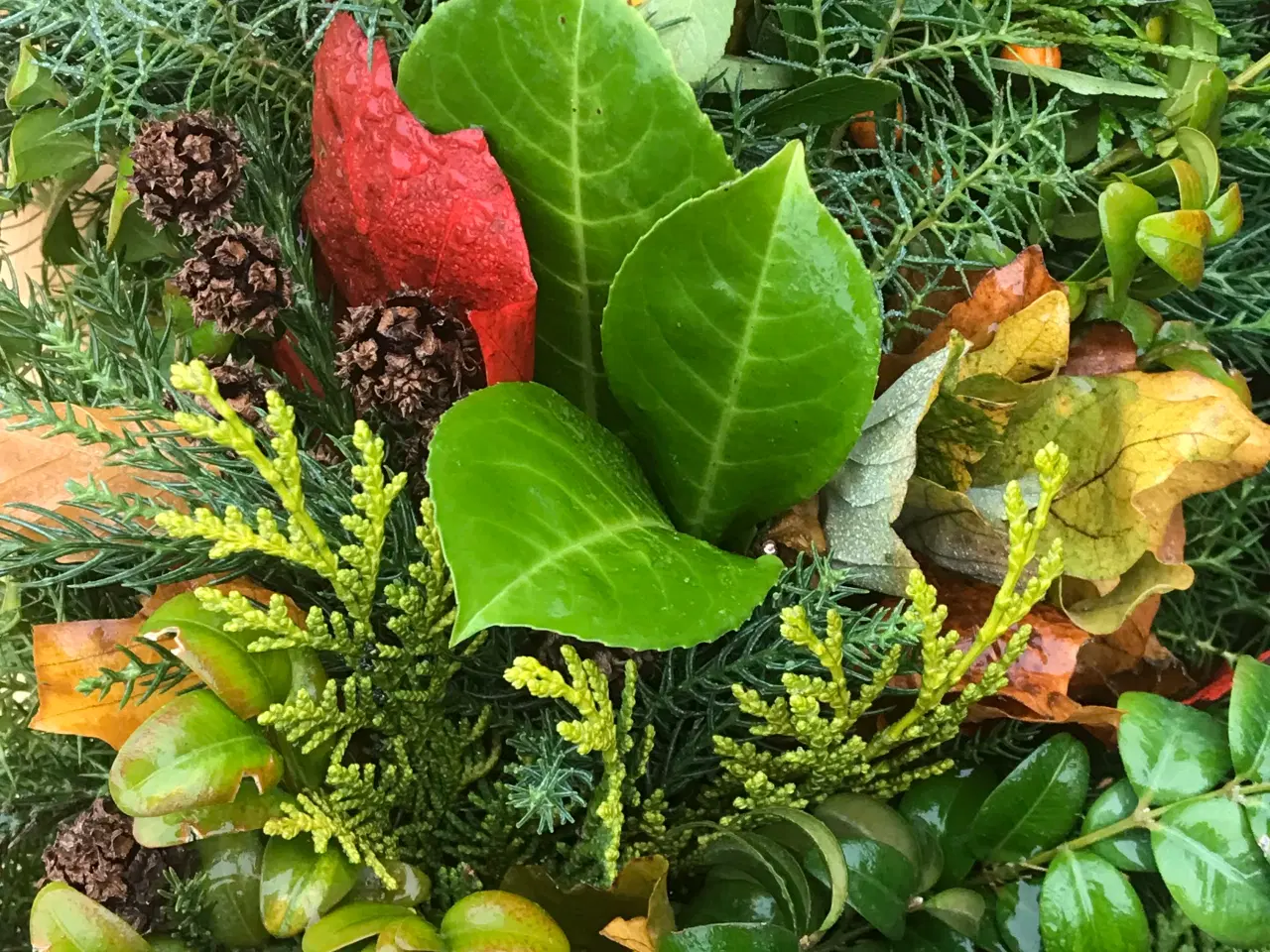 Billede 12 - Æresport til bryllup